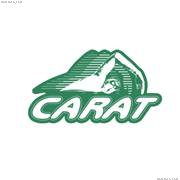 Club aquatique régional Abitibi-Témiscamingue (CARAT) - Sports Club