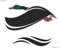 Mallards Swim Team (MST) - Club sportif