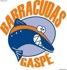 Natation Barracudas de Gaspé (BG) - Sports Club