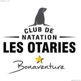 C.N. Les Otaries de Bonaventure (CLOB) - Club sportif